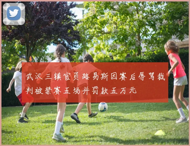 武汉三镇官员路易斯因赛后辱骂裁判被禁赛五场并罚款五万元